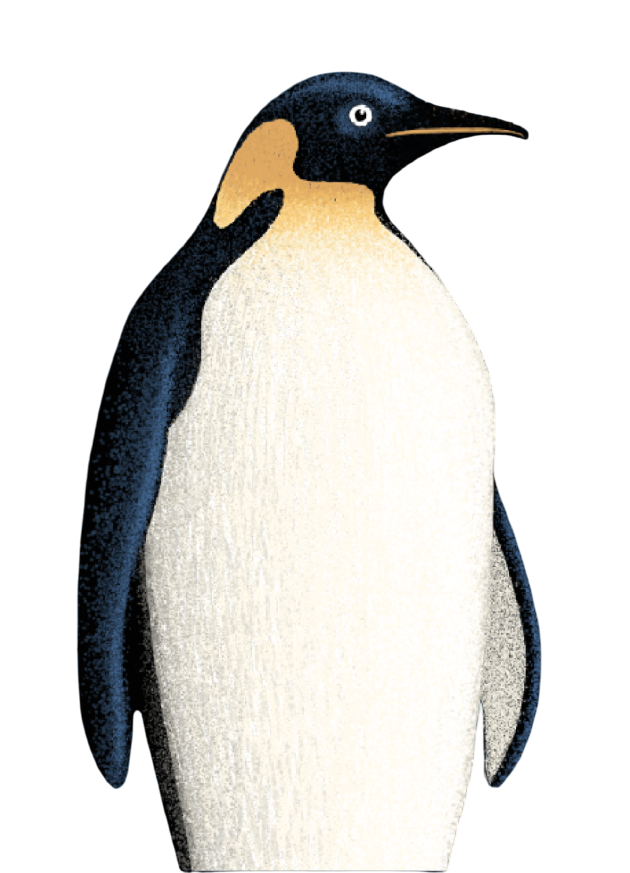 <h2>READY WHEN YOU ARE</h2>